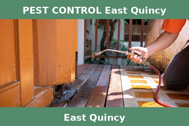 PEST CONTROL East Quincy